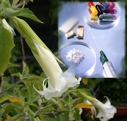 Vandalismo contra la&nbsp;voluntad