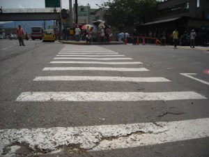 Cebras calzada. Foto por Jorge Ovidio Arboleda